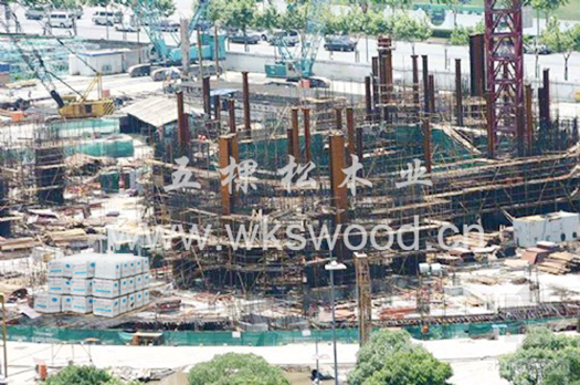 中国建筑工程总公司与五棵松携手合作