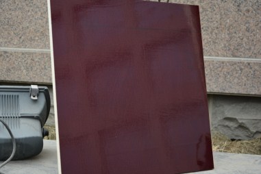 为您揭秘:五棵松集团入围中国建筑模板十大品牌的成功奥秘