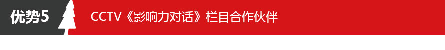 五棵松铝框模板