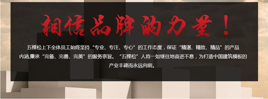 五棵松铝框模板